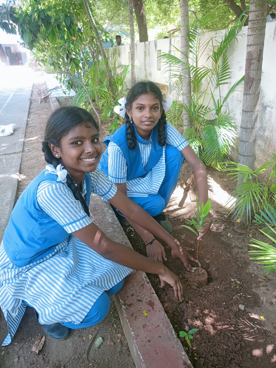 Environment Day